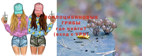 индика Бронницы