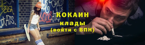 индика Бронницы