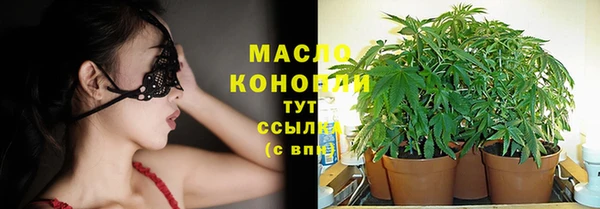 индика Бронницы