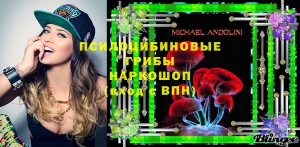 индика Бронницы