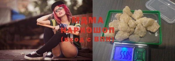 индика Бронницы