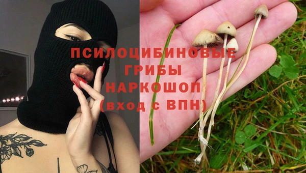 мескалин Бородино