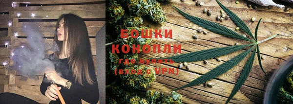 индика Бронницы