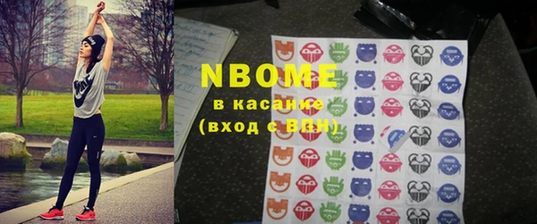 индика Бронницы