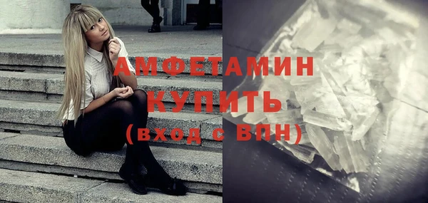 индика Бронницы