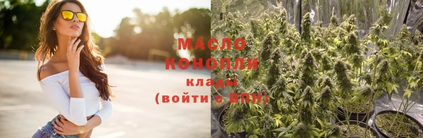 индика Бронницы