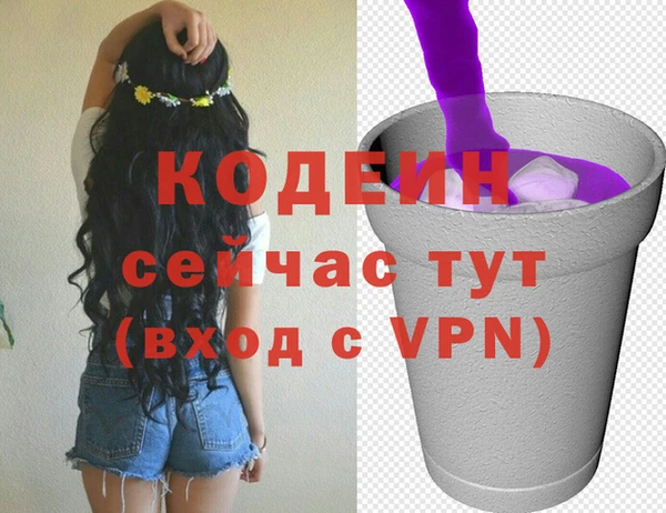 индика Бронницы