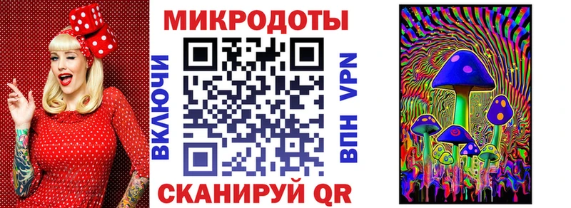 Псилоцибиновые грибы Psilocybine cubensis  магазин    Нальчик 